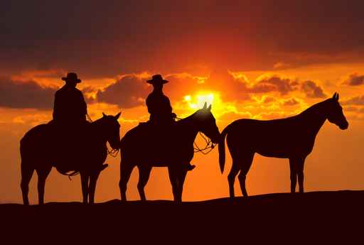 cowboys and horses under sunset