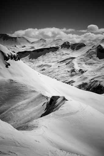 Alps - black and white