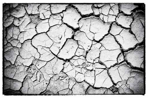 The dried up cracked earth