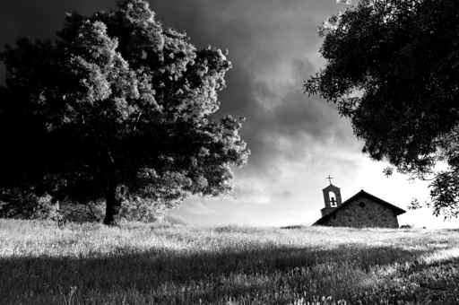 Chapel next to big tree on top of a grass hill - B&W