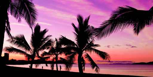 Palms silhouettes at sunset on a tropical beach