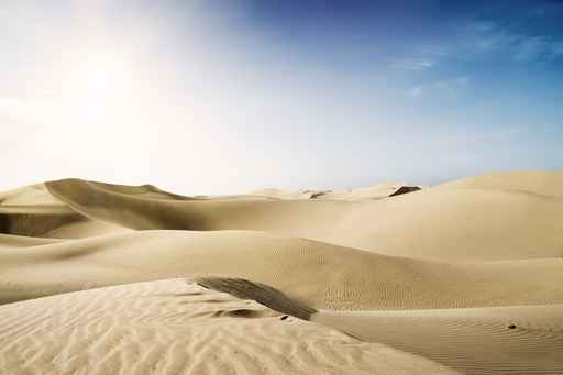 Beautiful Sand Dune. Gold desert.
