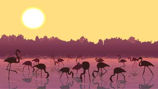 Vector flamingos at sunset in the river.