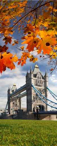Tower Bridge with autumn leaves in London, UK